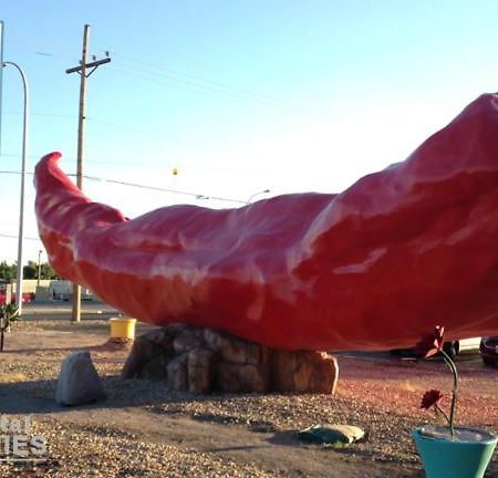 Big Chile Inn & Suites Las Cruces Eksteriør bilde